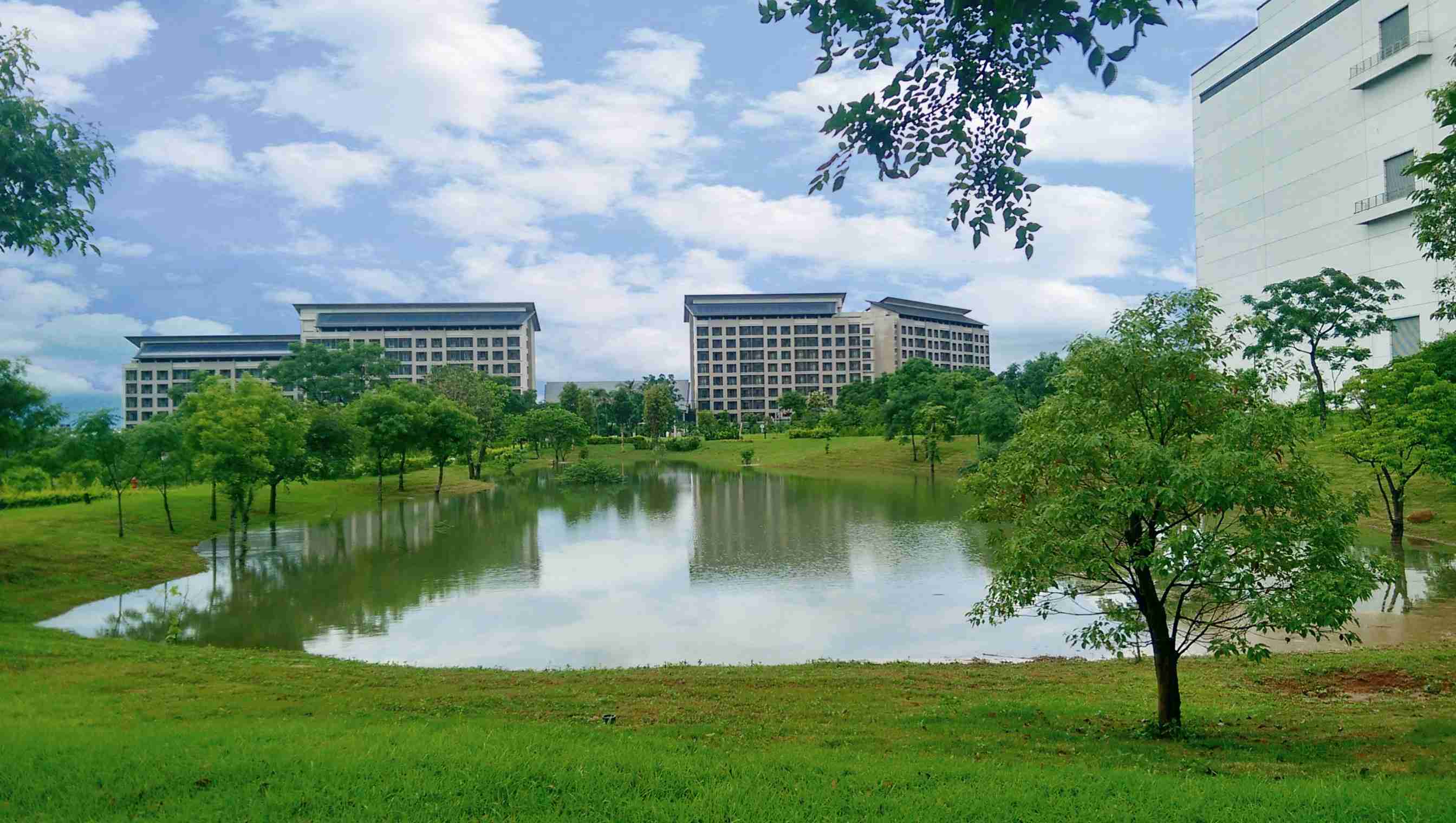 至成国际响应国际倡议生物多样性趋势，，首次发布TNFD自然相关财务揭露报告书，，，擘划及开展至成国际生物多样性政策之承诺，，逐步迈向与自然和谐共生